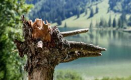 004 - ruhiger blick über den louenensee